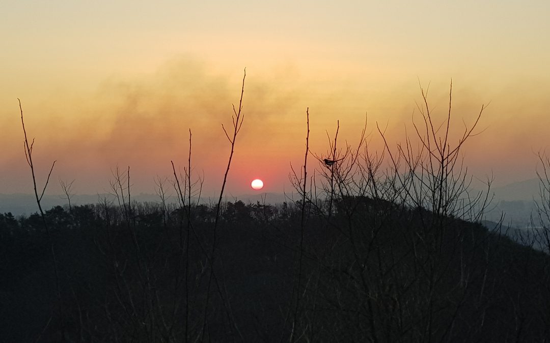 [나는 백패커] 김포 승마산에서 하룻밤… ‘5분이면 정상’ 철석같이 믿고 올라갔다가 끝내 헉헉댄 산행