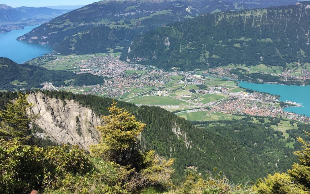 [스위스 유람기, 알프스 산행기 5-④] 융프라우, 쉬니케플라테, 트레킹