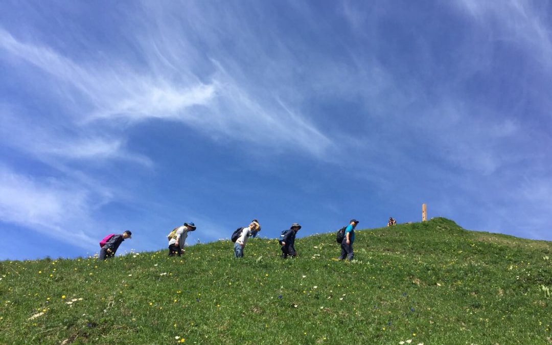 [스위스 유람기, 알프스 산행기 5-①] 모의, 계획, 준비, 출국