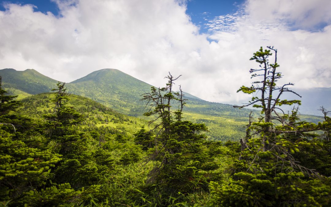 중년 남성 8명의 일본 도호쿠 지방 단풍 여행기 (상)