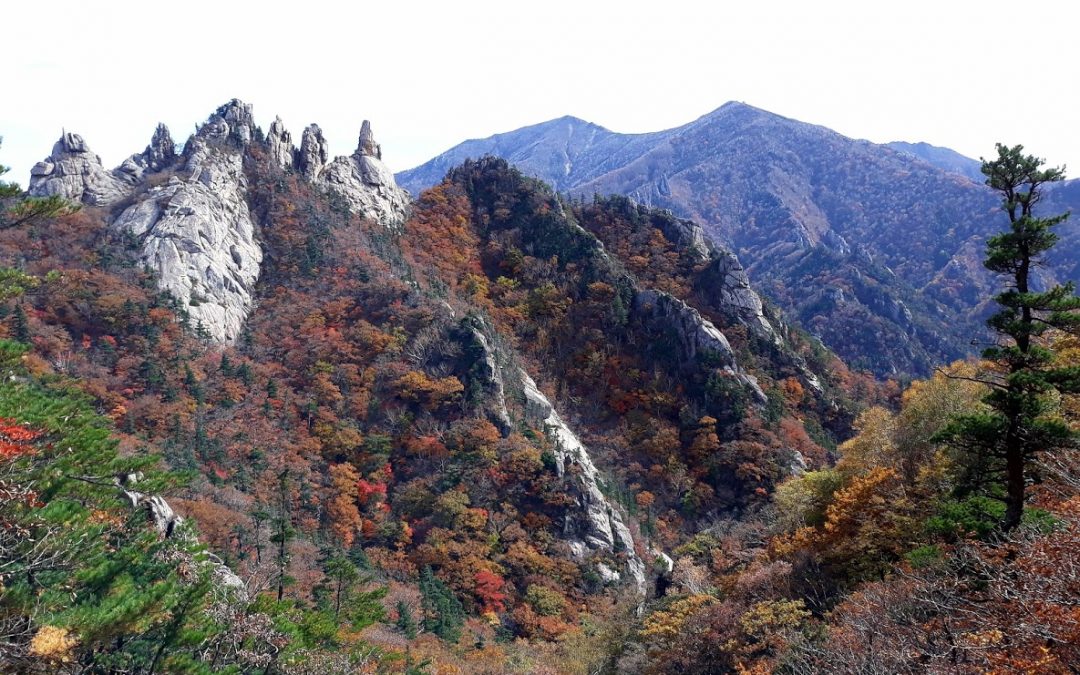 [설악산 국립공원] 꼬박 20시간 걸린 설악산 공룡능선 첫 등정… 무릎은 힘들다는데 눈과 마음은 행복하다 하네