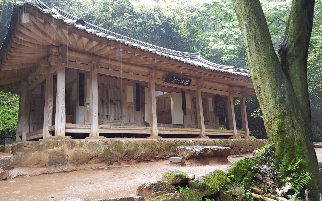  다산 정약용의 18년 유배 흔적을 찾아 떠난 전남 강진에서 봄비에 젖은 신록을 만끽했다