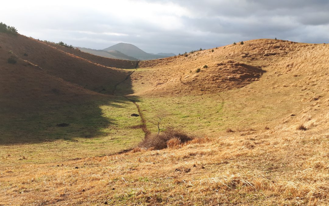 [제주 오름 가봐수까 ③] 용눈이오름은 제주 오름의 원형에 가장 가깝고 오름의 맛을 제대로 느끼는 곳