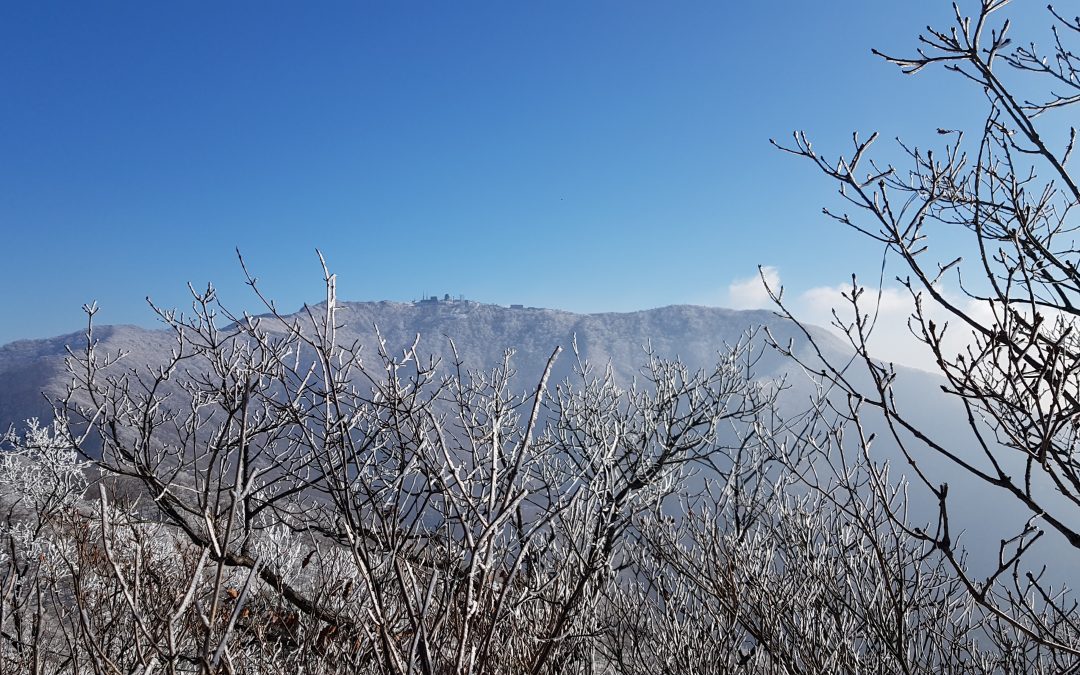 1년 사이 세 번이나 시도한 경기도 가평 석룡산 등정… 산세는 수려하지 않으나 조무락계곡이 있어 빛나는 곳