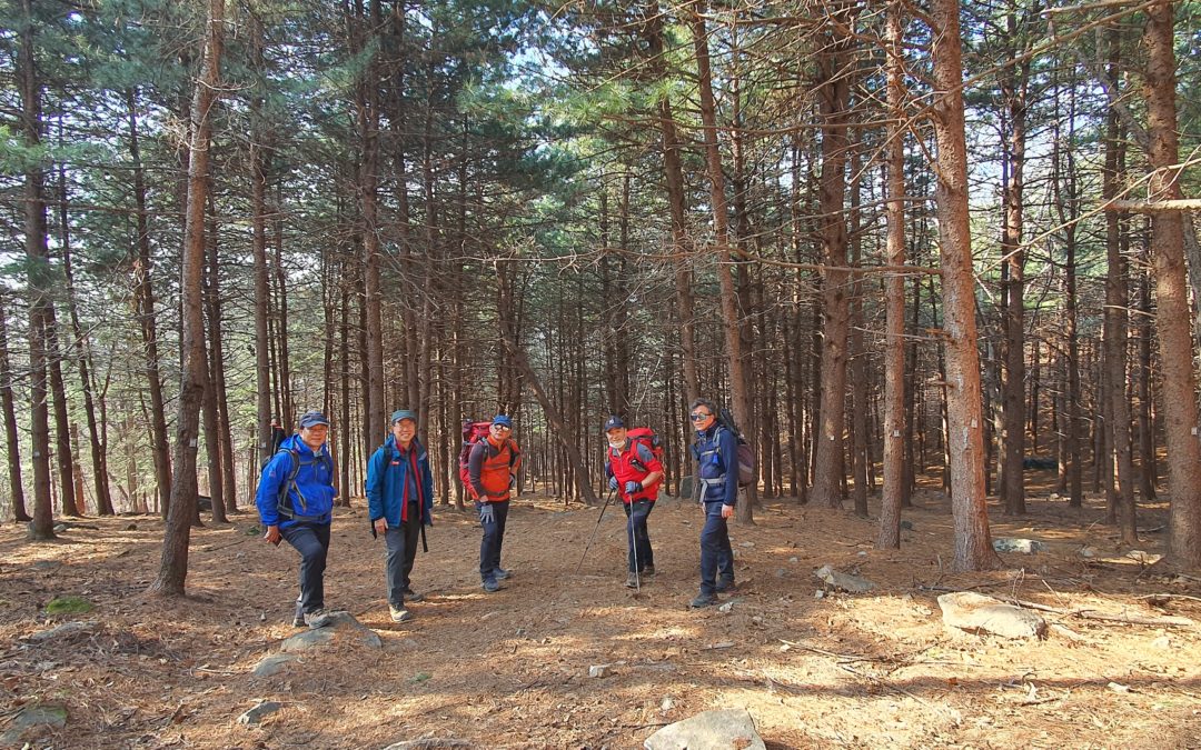 춘천의 금병산이 ‘비단(錦)과 병풍(屛)을 둘러친 듯 아름답다’고 해서 가봤더니 걷기 편한 능선과 나무들 그리고 김유정의 소설 속 이야기들이 반기더군요