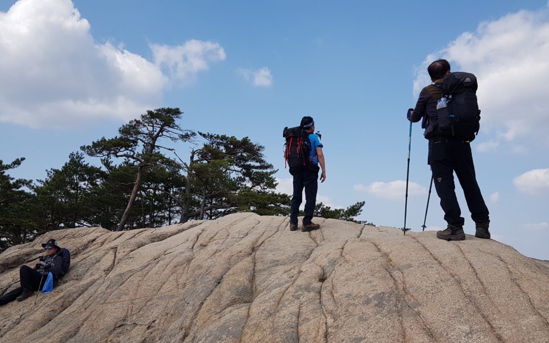 [월악산 국립공원] ③ 도락산(道樂山)은 거대 절벽바위와 바위 틈새마다 뿌리내린 소나무가 일품인 진경산수화