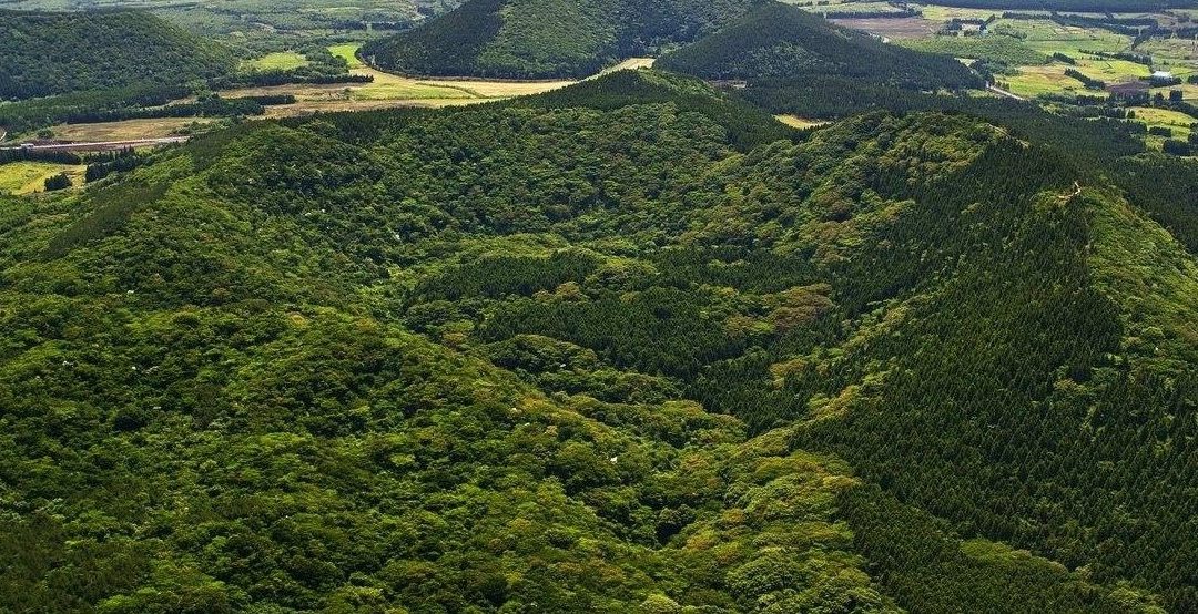 [제주 오름 가봐수까 ④] 거문오름은 제주 오름 중 유일하게 등재된 유네스코 세계자연유산… 주변 만장굴 등 6개 동굴은 거문오름과 한 몸