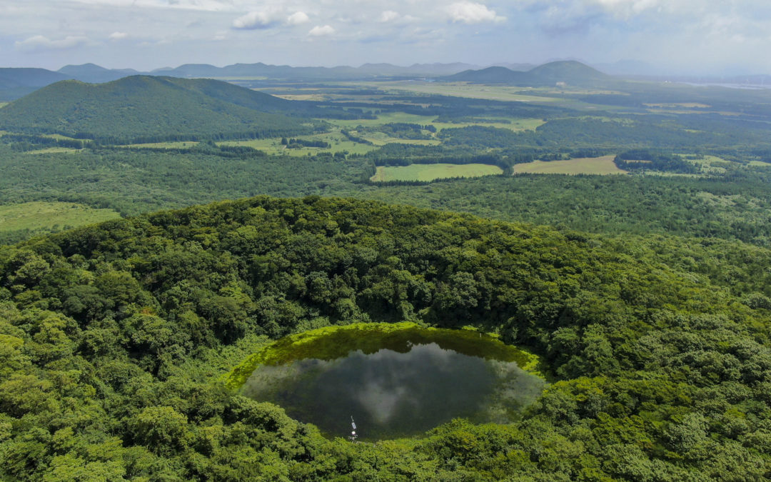 [제주 오름 가봐수까 ⑤] 물영아리 오름은 ‘람사르 습지’ 중 한 곳… 산 꼭대기에 대규모 분화구가 있다는 게 신기할 정도
