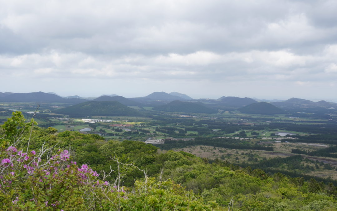 [제주 오름 가봐수까 ⑪] 큰사슴이오름(대록산)… 분화구 능선은 숲 우거진 산책길이고 정상에 서면 동산처럼 솟아있는 오름 군락이 시선 사로잡아