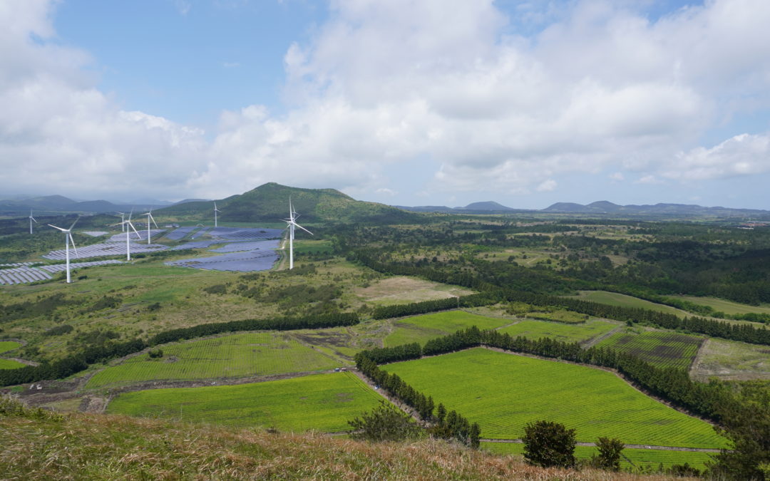 제주 가시리의 ‘쫄븐갑마장길’을 아시나요… 오름과 잣성길, 들판과 하천 숲길을 따라 10㎞ 걷는 호젓하고 한적한 산책길이랍니다