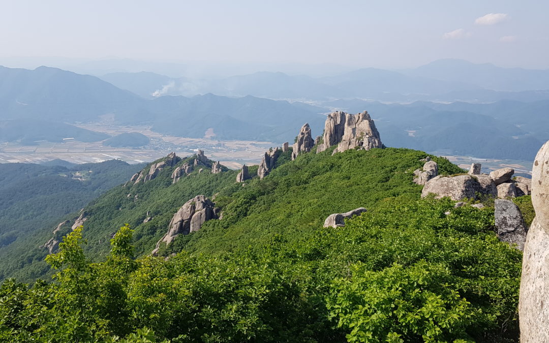 [장흥 천관산]은 호남의 5대 명산… 다도해를 배경으로 펼쳐진 부드러운 능선과 곳곳에 삐죽삐죽 솟아있는 암봉이 매력적인 곳