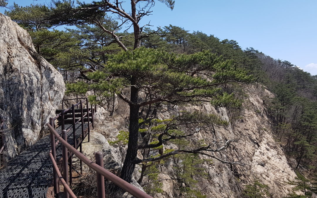 [문경 황장산]은 맷등바위 능선 조망이 일품…  ‘100대 명산’ 믿고 일부러 먼곳에서 찾아간 등산객에게는 약간의 아쉬움 있을 듯