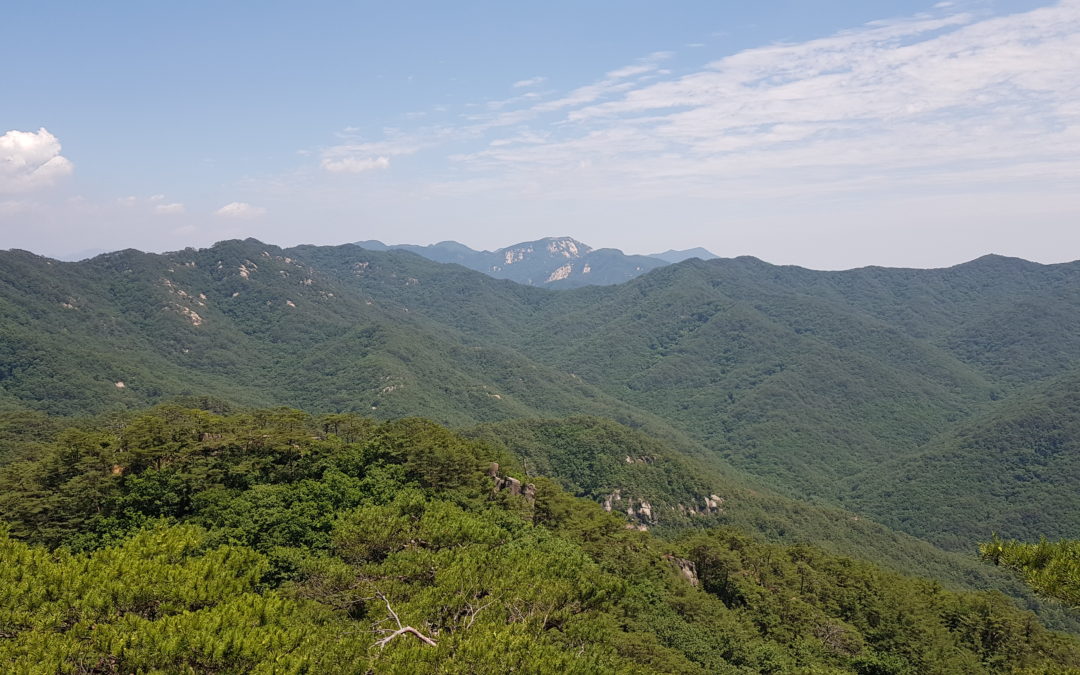 [괴산 칠보산] 소나무와 공생하는 암릉 조망 뛰어난 명산… 흙길과 숲길에 계곡 따라 걷는 오솔길이어서 휘파람 절로 나와