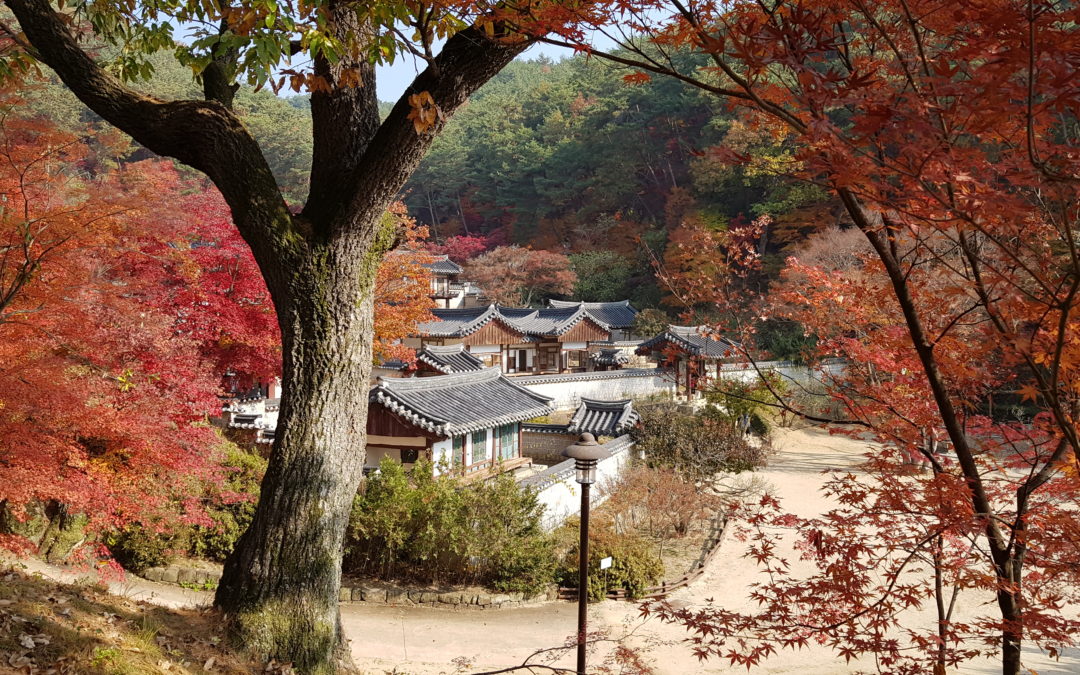 [안동 어데 가봤니껴 6-①] 도산권(동북권) : 도산서원 노송정고택 온계종택 퇴계묘소 오천군자마을