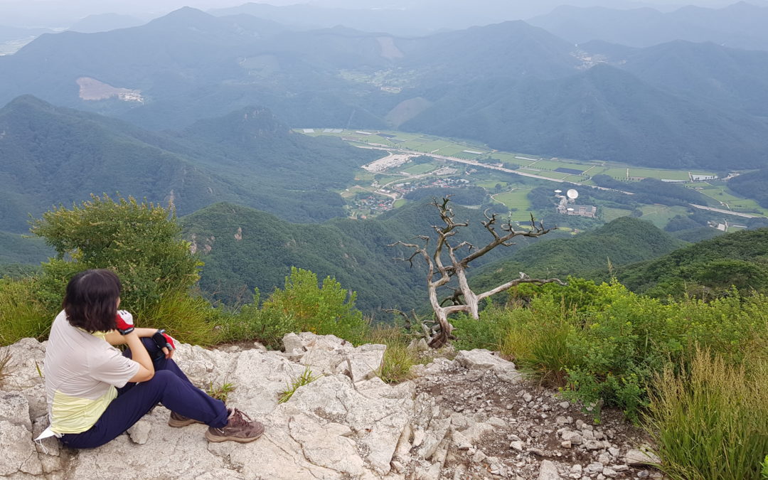 [보은 구병산] 9개 암봉들이 솟구쳐 올라 병풍처럼 펼쳐있는 산세… 그 속으로 들어가야 산행 묘미 제대로 느낄 수 있어
