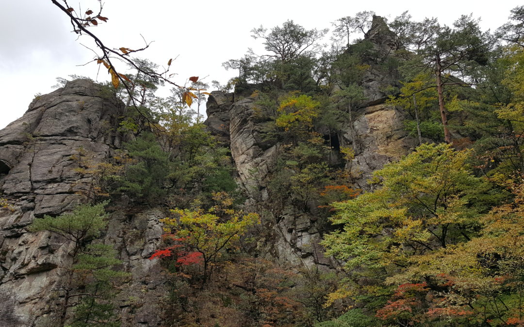 [오대산 국립공원] 오대산 소금강(小金剛) 계곡… 연이어 펼쳐지는 비경들이 도무지 지루할 틈을 주지 않네요