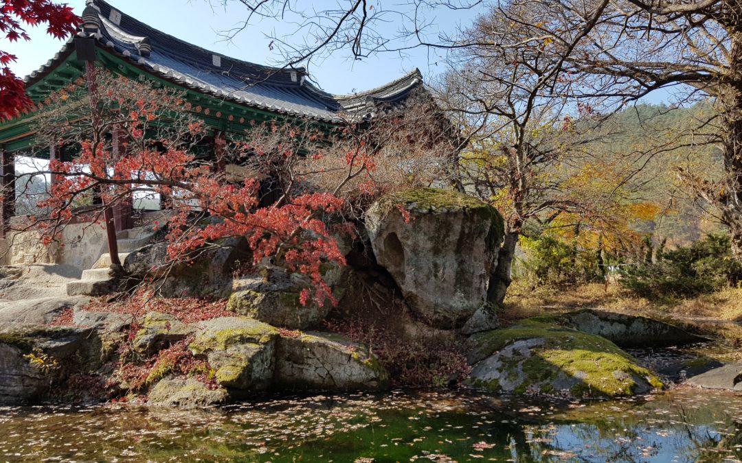 56년만에 떠난 평균 59세 네 남매의 여행… 경북 봉화 석천계곡-청암정