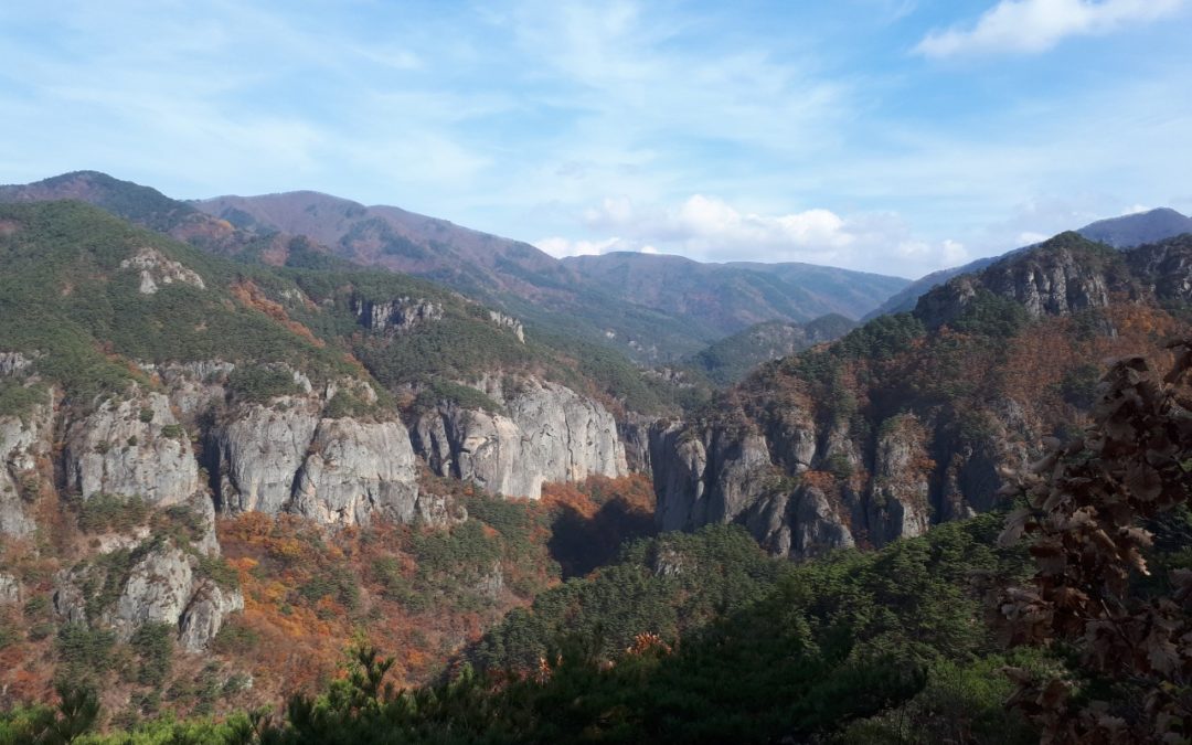 [주왕산 국립공원] 최고 비경은 용추협곡과 주봉에서 바라본 거대 암벽 그리고 절골 계곡이지요