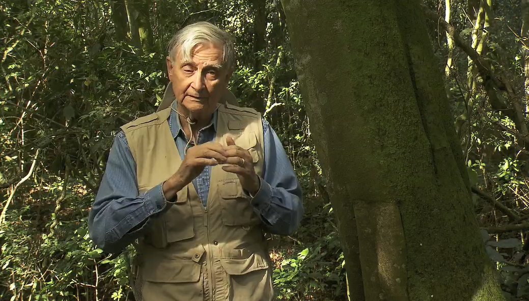 [에드워드 윌슨 별세] ‘사회생물학’을 새 학문분야로 개척하고 ‘진화’의 새 장을 연 ‘생물학의 거두’