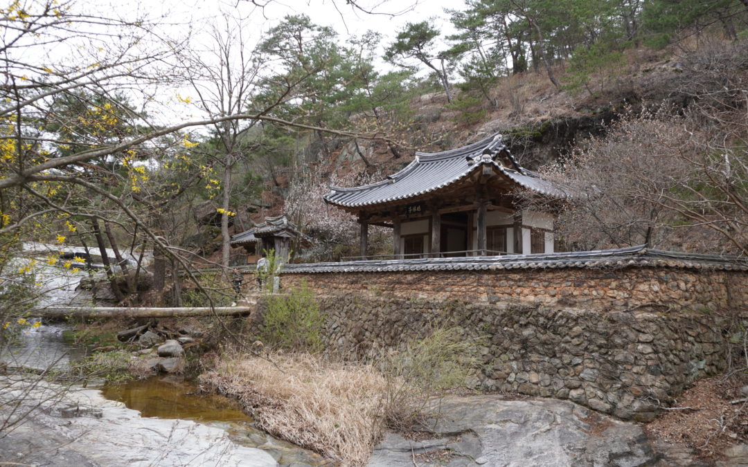 [안동 어데 가봤니껴 6-⑤] 동남권 : 만휴정과 원림, 묵계서원과 묵계종택, 용계 은행나무, 내앞마을·백운정·개호송숲
