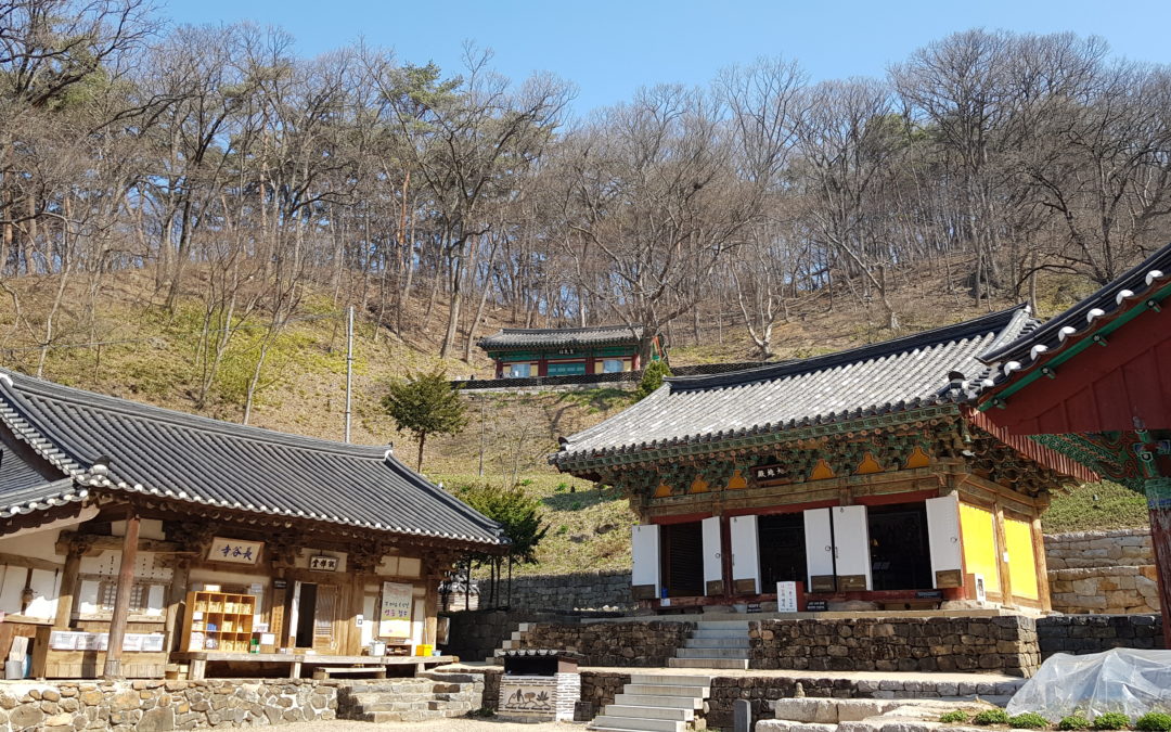 [충남 청양 칠갑산] ② 장곡로·사찰로·산장로·도림로… 편안한 능선길과 울창한 숲이 매력적인 곳