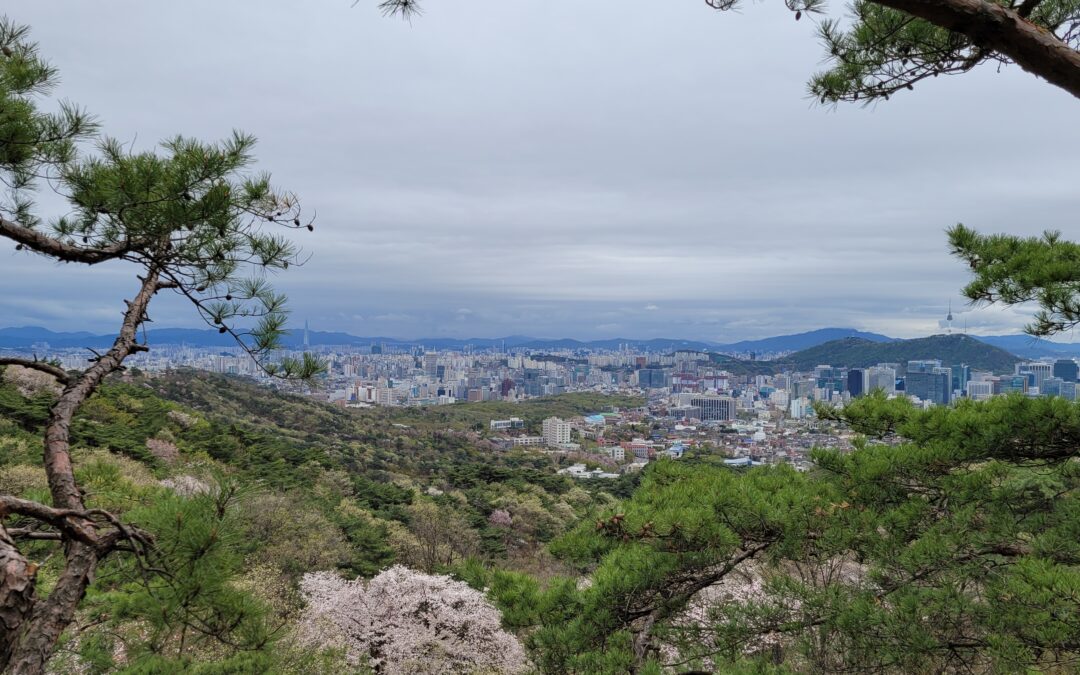 [북악산 남측면 데크길] 청와대 뒤편 북악산이 윤석열 정부 출범 후 전면 개방된다지만 그때까지 기다릴 수 없어 서둘러 다녀왔지요