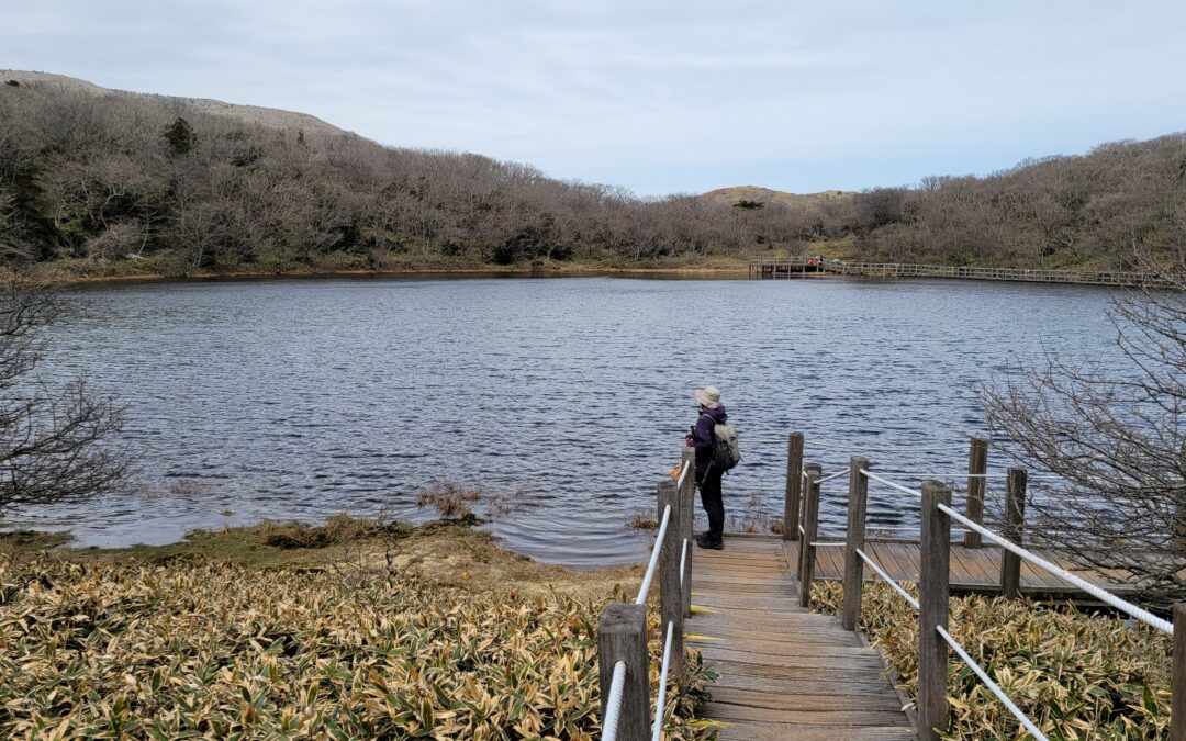 [제주 오름 가봐수까 ⑯] 한라산 중턱 사라오름… 산행길 밋밋하고 지루하지만 막상 올라가면 산정호수에 탄성 절로 나오고 터진 조망에 가슴 후련해져