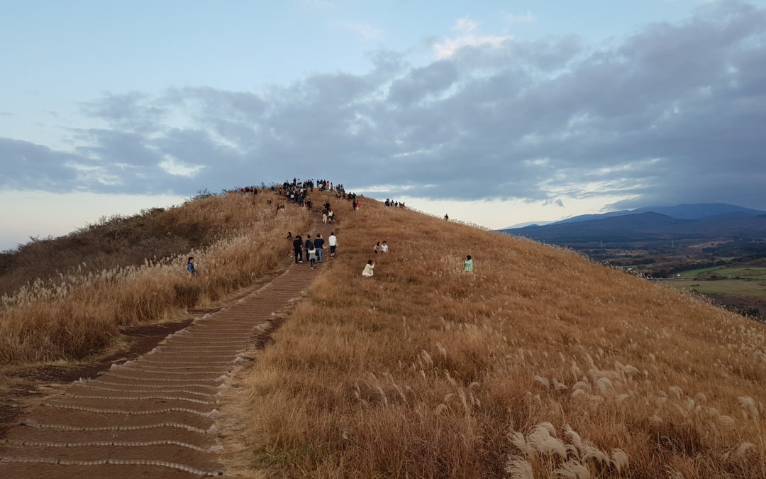 [제주 오름 가봐수까 ⑥] 새별오름~이달봉~촛대봉 순환 코스… 새별오름 정상까지 올라갔지만 환상적인 분화구를 그냥 지나쳤을 때의 아쉬움을 해소해주는 곳이 이달봉이지요
