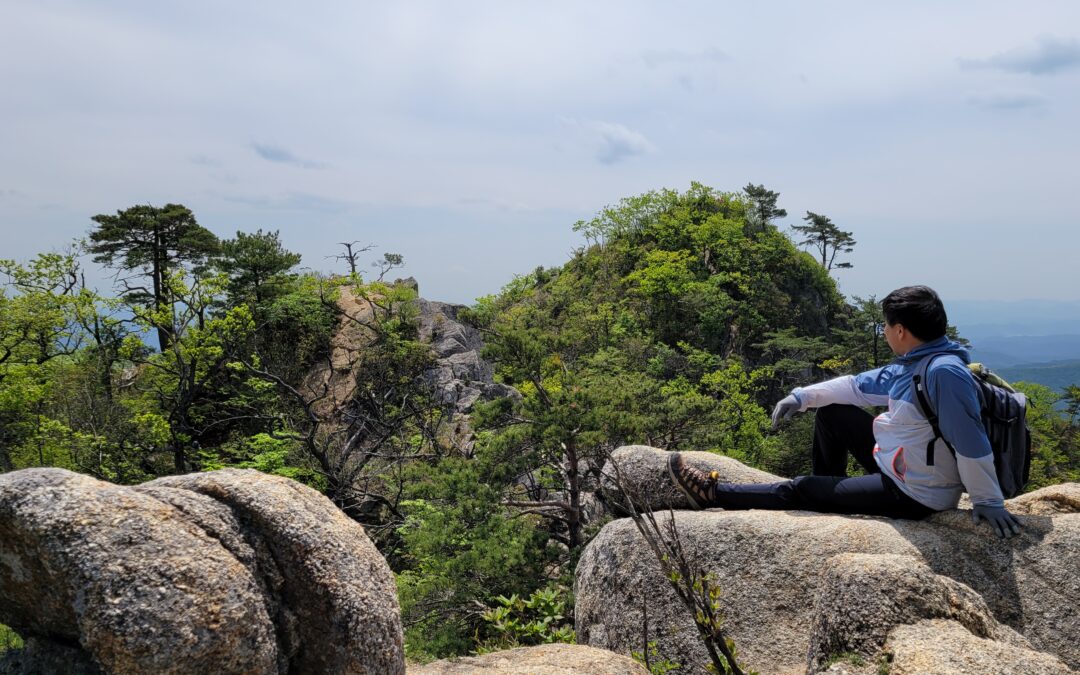 [강원도 홍천 가리산 ②] 연초록이 눈부시게 빛나던 어느 봄날, 정상 조망까지 막힘없이 펼쳐지니 속이 다 후련
