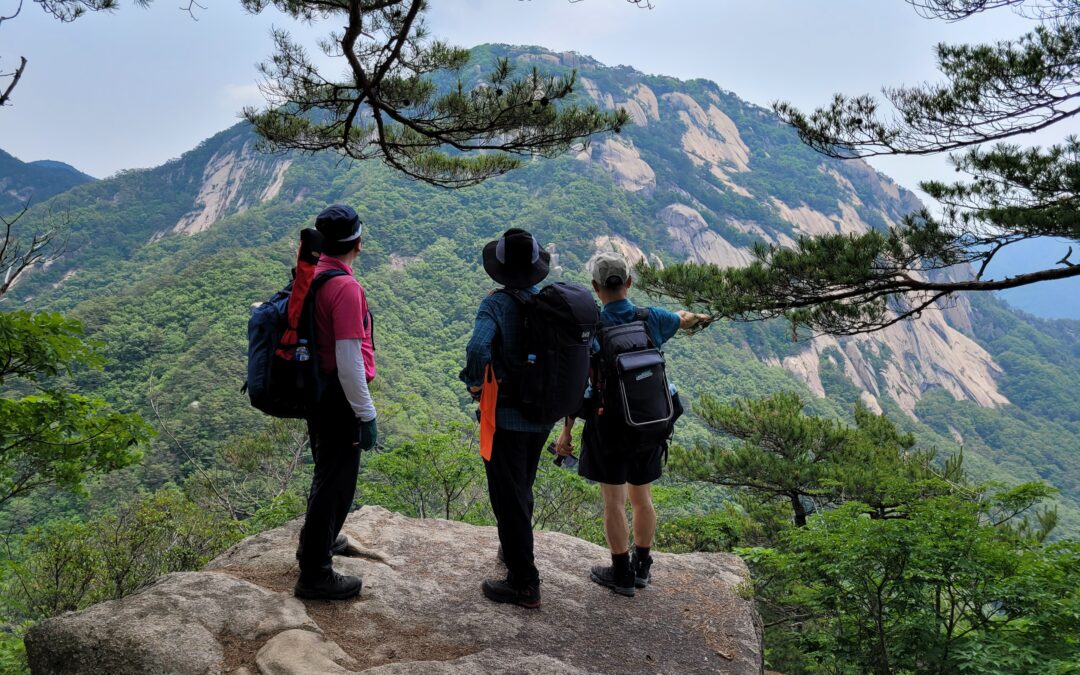 [충북 괴산 희양산] 정상 주변의 환상적 바윗길과 조망은 급경사 암벽 구간을 힘들게 오른 산꾼들을 위한 보상이지요