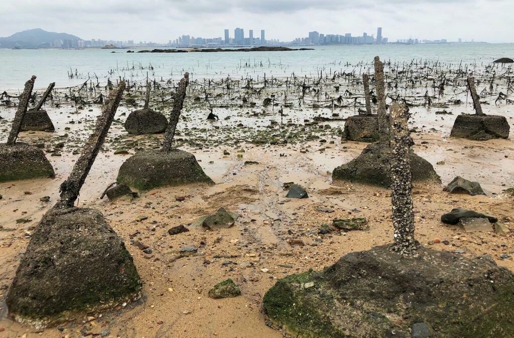 대만의 금문도(金門島)… 중국의 30년 포격으로 2000여명이 죽었는데도 섬을 사수한 것은 죽음을 불사한 대만군의 저항과 국민의 의연함 때문이지요
