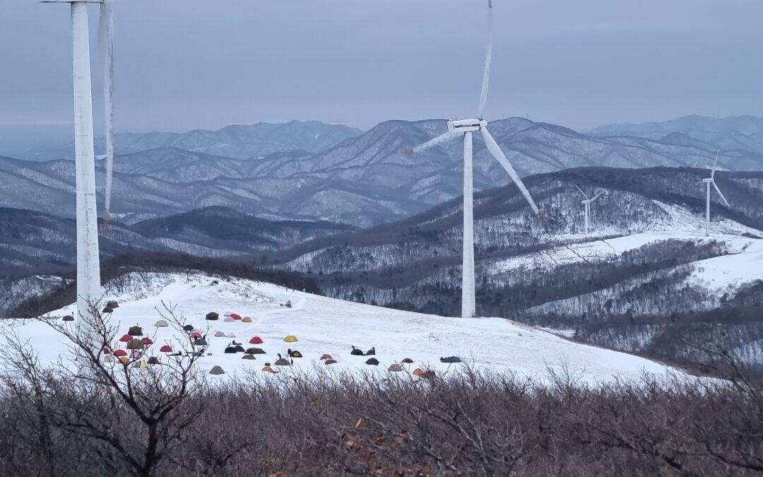 [평창 선자령 겨울 산행] ② ‘계곡길 → 능선길’ 원점회귀 코스… 눈이 내린다 싶으면 전국에서 모여드는 설산(雪山) 명소